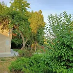 Zuzula Holiday home